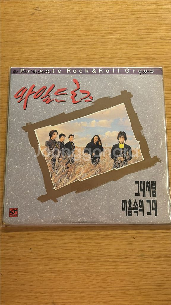 와일드 로즈 lp--0