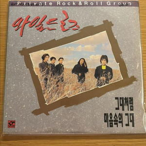 와일드 로즈 lp