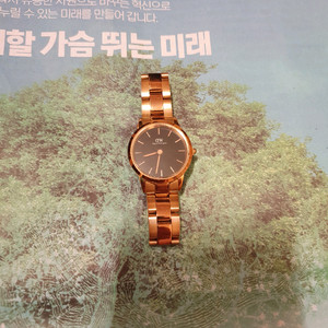 다니엘 웰링턴 여성시계 (무료배송)