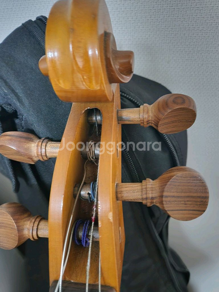 엥겔하르트 110 미국 첼로 카본--3