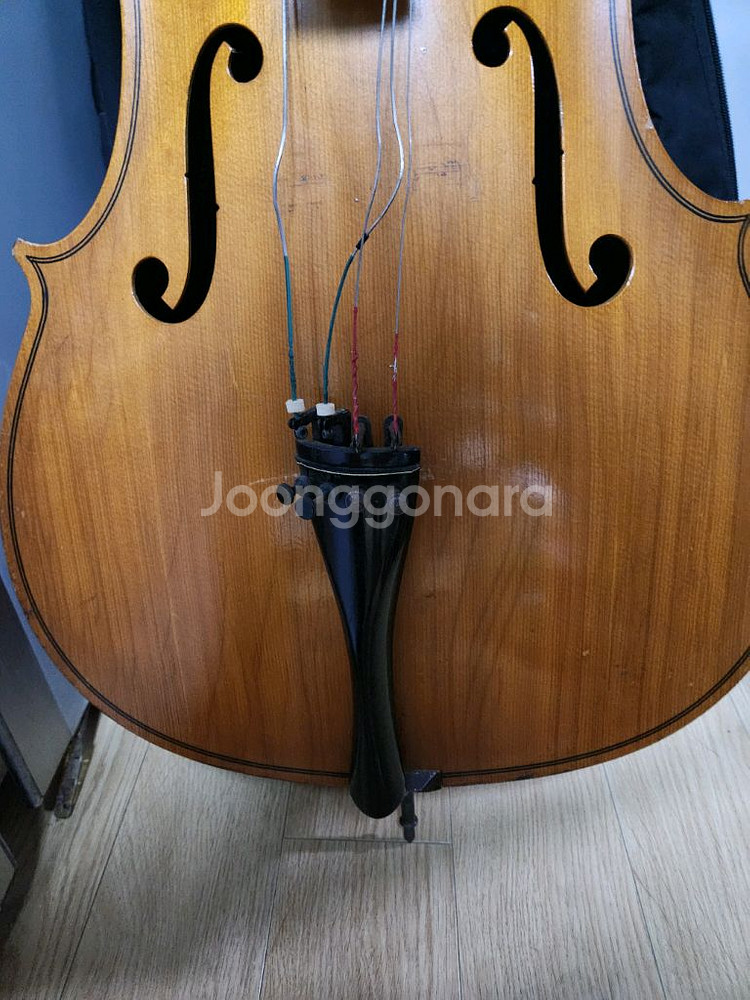 엥겔하르트 110 미국 첼로 카본--1