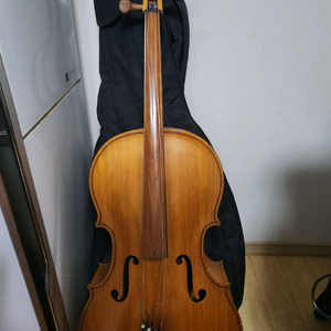 엥겔하르트 110 미국 첼로 카본