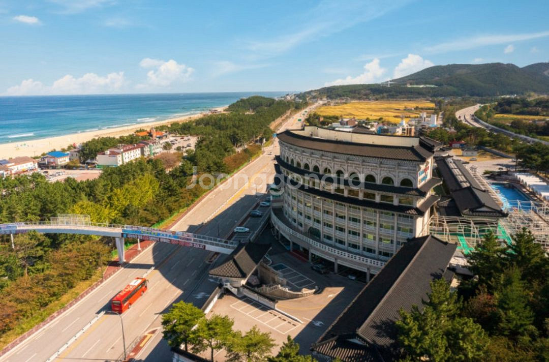 동해보양컨벤션호텔 낙원동 온돌 양도 7/27-2/29--0