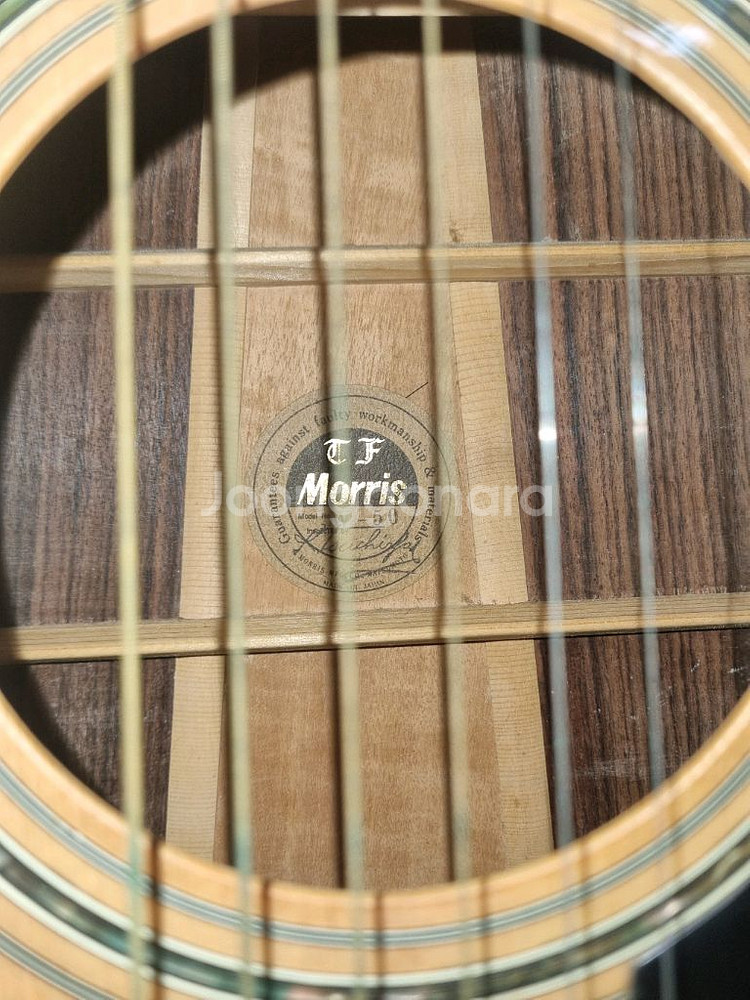 Morris 모리스 w-50 어쿠스틱기타,통기타--9