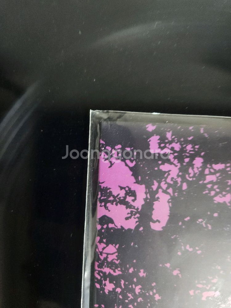 지브리 아르츠 쇼팽 lp 엘피--3