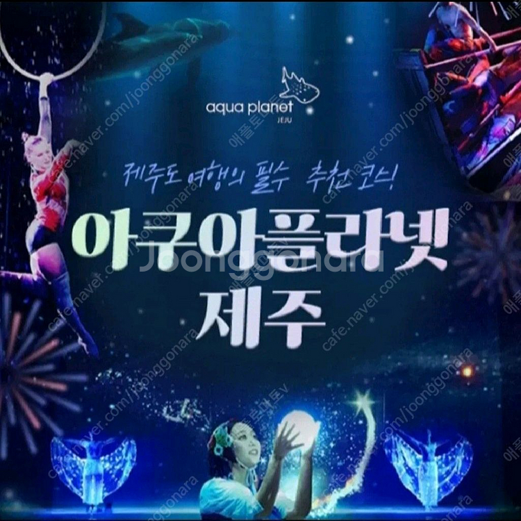 제주 아쿠아플라넷 제주 모바일입장권 [빠른 답장]--0