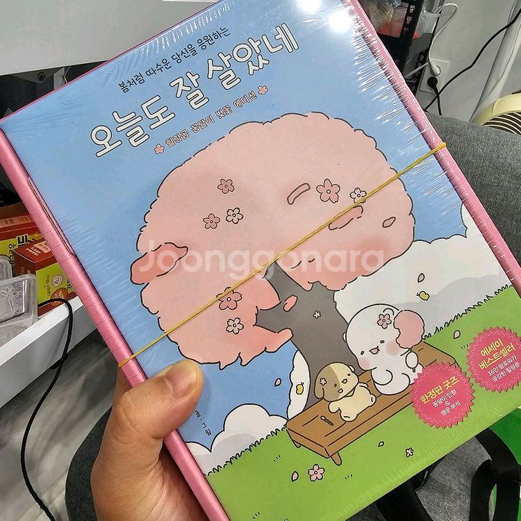 힐링곰 꽁달이 빛꽃 에디션 에세이 미개봉 새제품--0