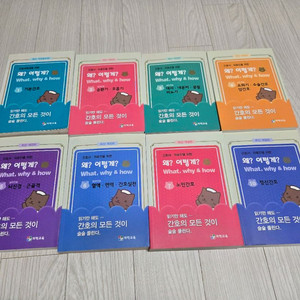 간호사, 간호대학생 와이책(여성,아동 없음/단권 가능)