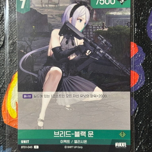 브리드-블랙 문 이펙트 엘리시온 니케 카드 인테리어 소