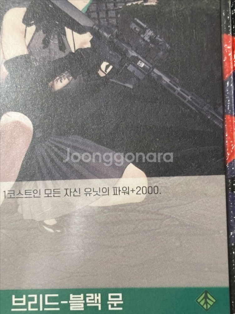 브리드-블랙 문 이펙트 엘리시온 니케 카드 인테리어 소--6
