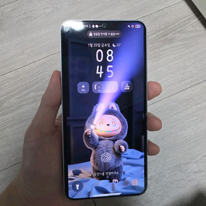 갤럭시 s25 플러스 아이스블루 512기가 자급제