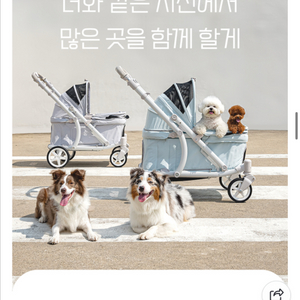 폼포라펫 클래식 웨건