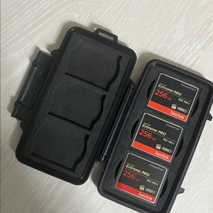 샌디스크 CF 256GB+펠리칸케이스 일괄판매