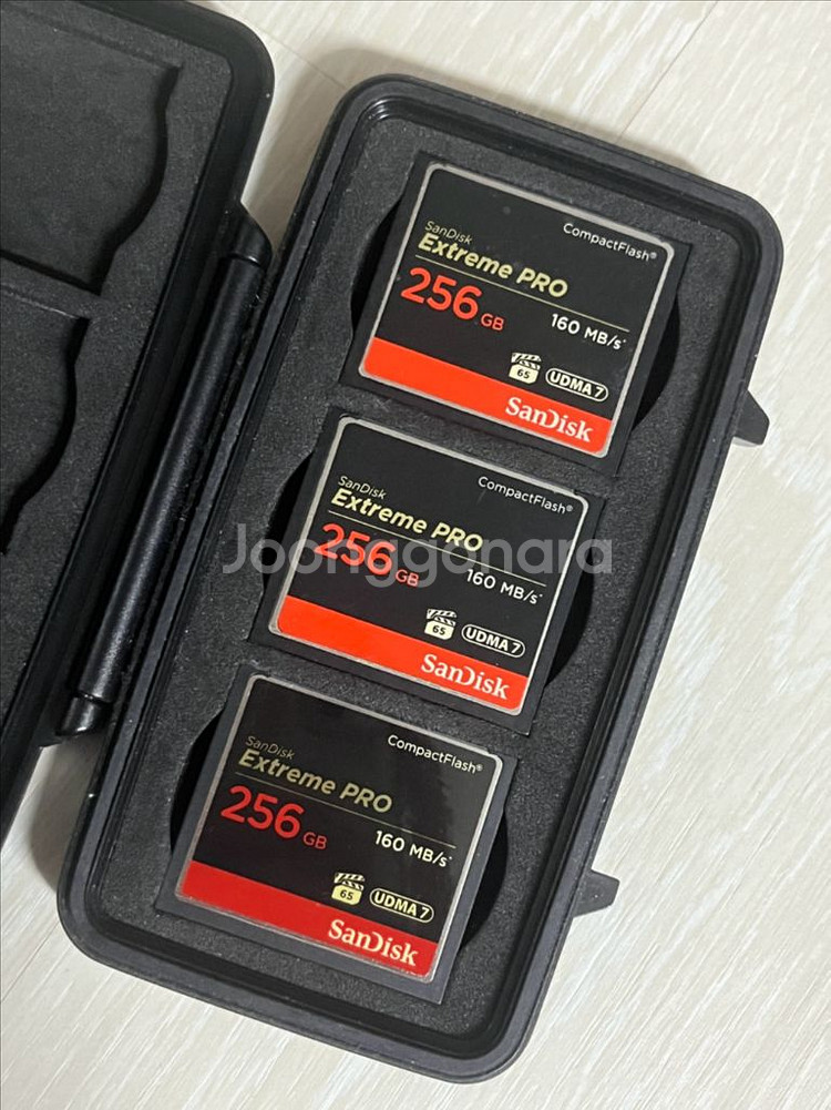 샌디스크 CF 256GB+펠리칸케이스 일괄판매--1