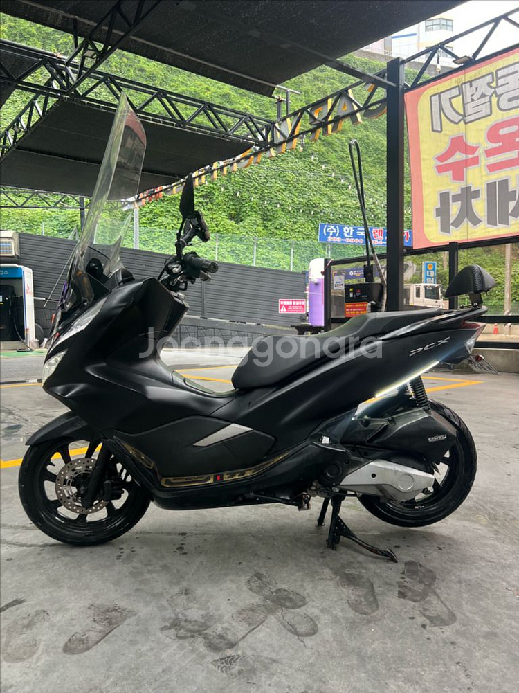 pcx125 18년식 19년형--1