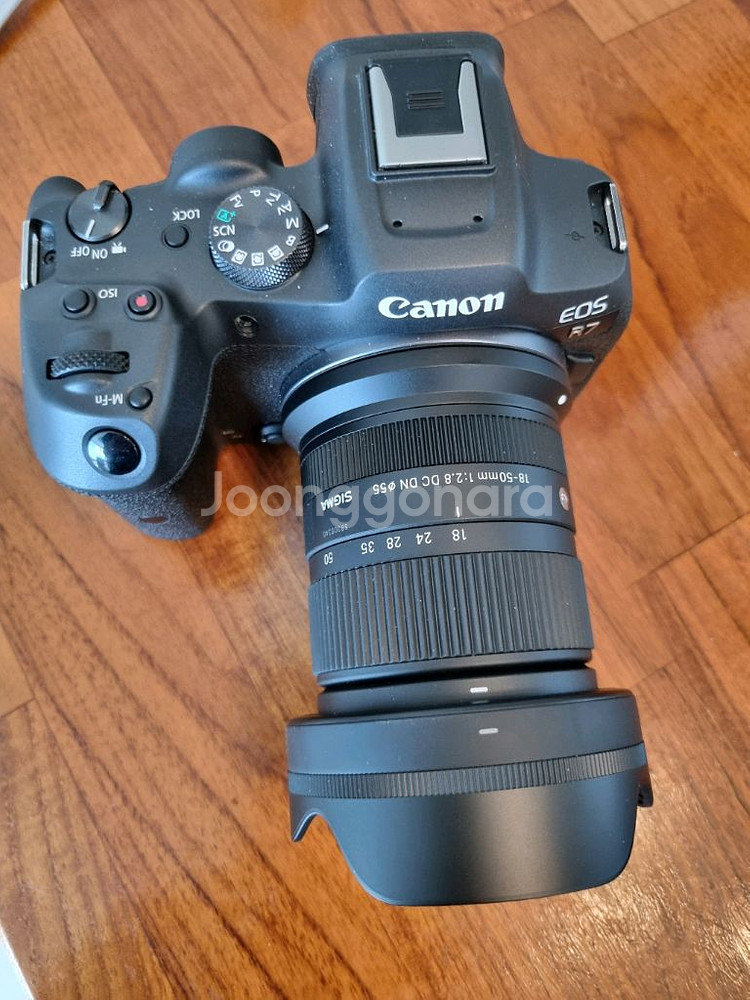 캐논 EOS R7 + 시그마 렌즈--0