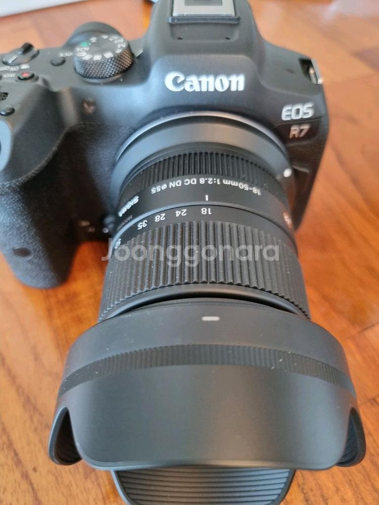 캐논 EOS R7 + 시그마 렌즈--1