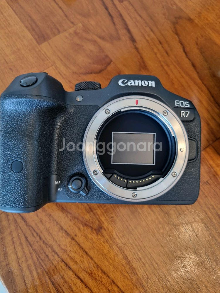 캐논 EOS R7 + 시그마 렌즈--2