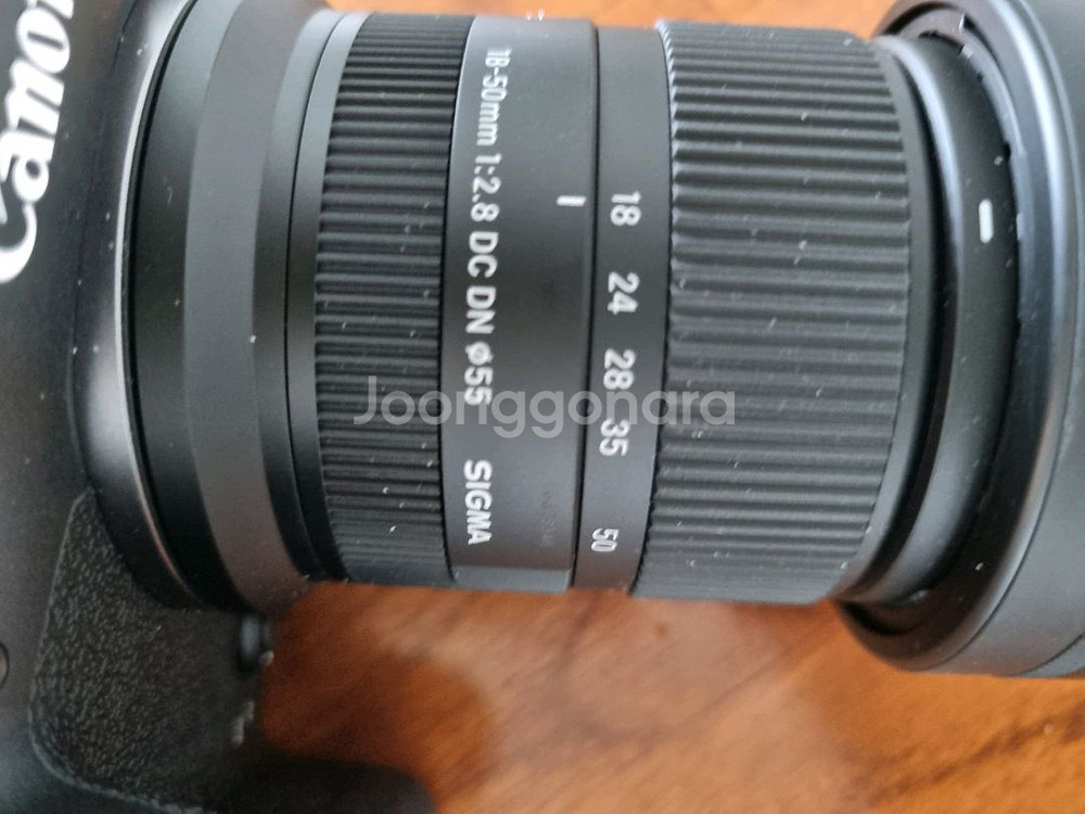 캐논 EOS R7 + 시그마 렌즈--4