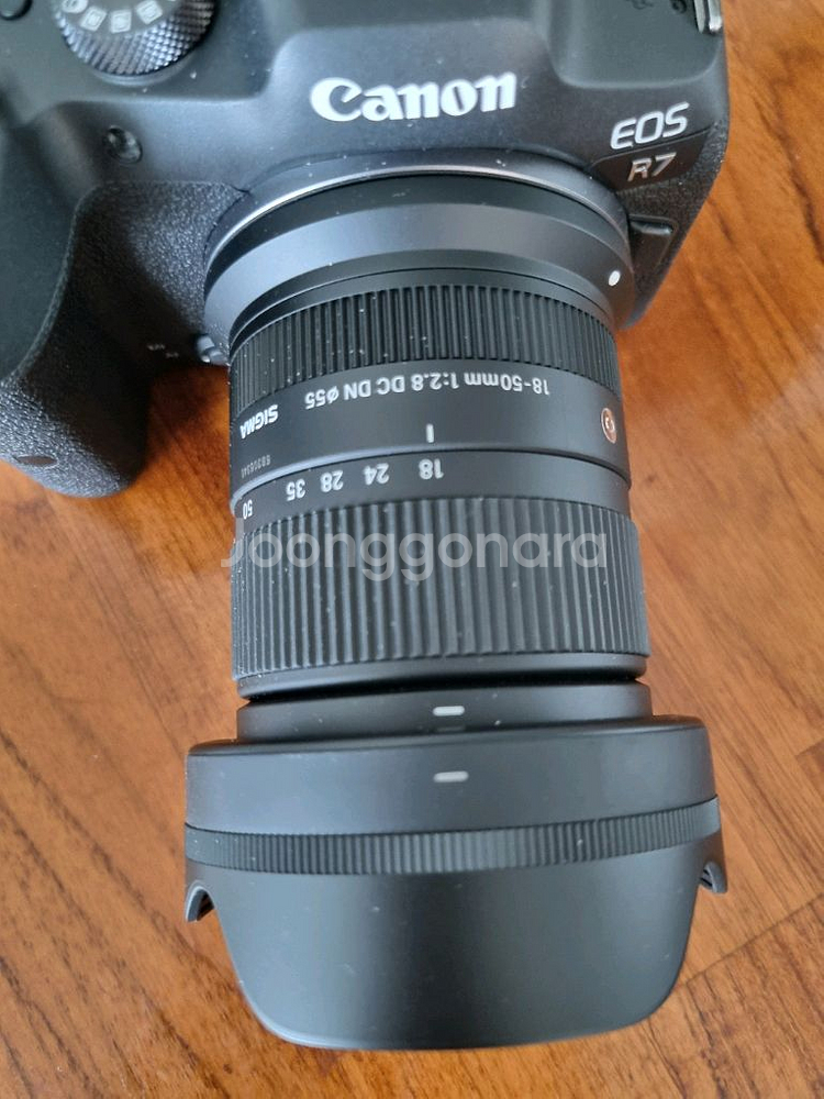 캐논 EOS R7 + 시그마 렌즈--5