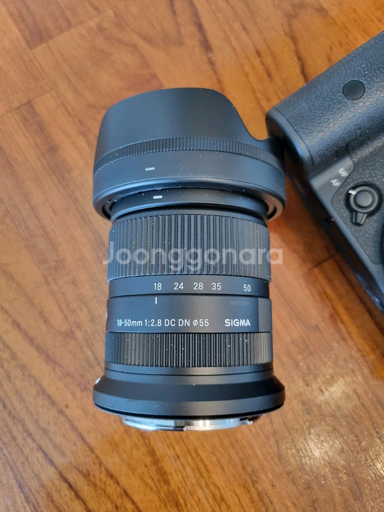 캐논 EOS R7 + 시그마 렌즈--7