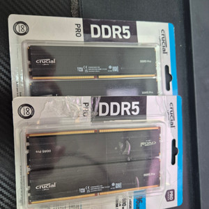 Crucial Pro RAM 96GB 키트 2x48