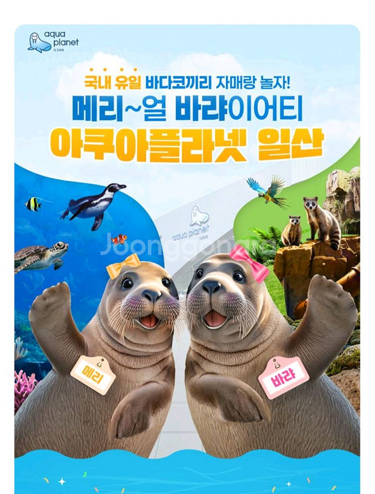 일산 아쿠아플라넷 일산 [빠른답장]--0