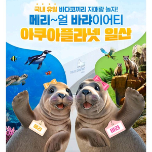 일산 아쿠아플라넷 일산 [빠른답장]