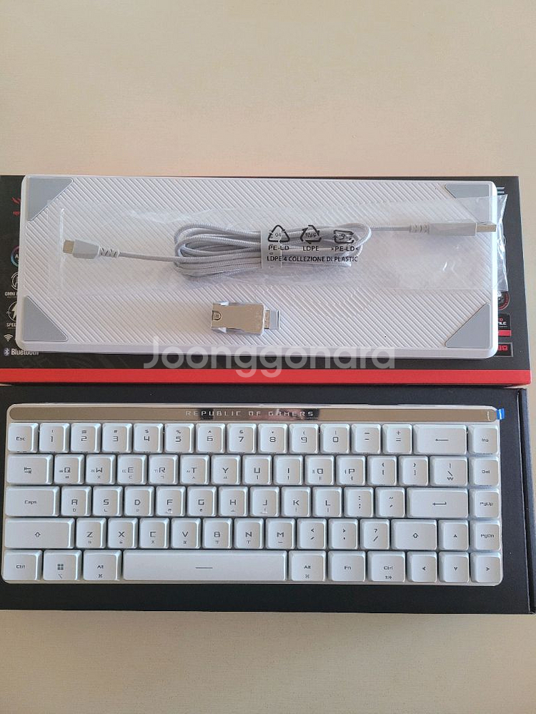 ASUS ROG PALCHION RX 로우 프로파일--1