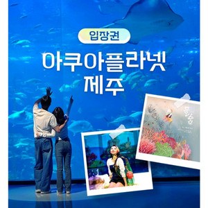 제주 아쿠아플라넷 제주 모바일입장권 [빠른 답장]