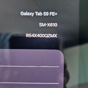 갤럭시 탭 S9 fe+ 256G