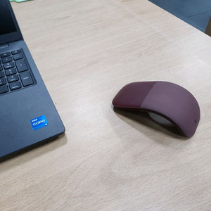 Microsoft 아크 마우스