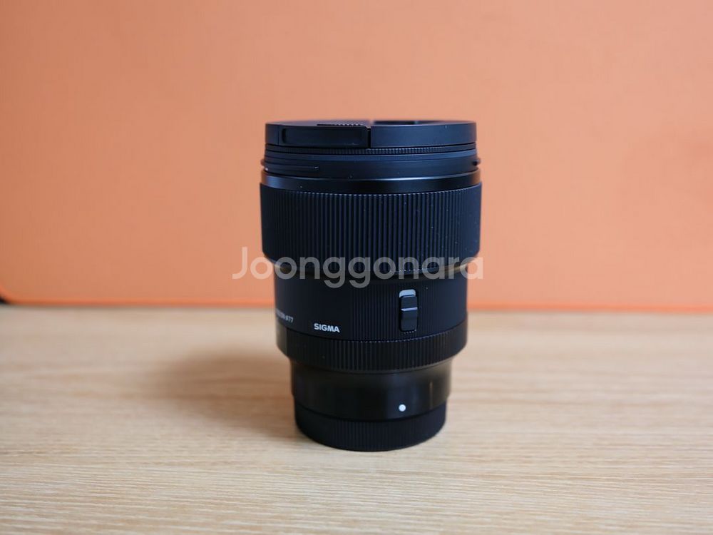 시그마 85mm F1.4 DGDN 라이카L마운트--3