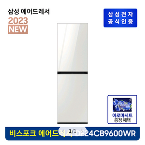 삼성 에어드레서 DF24CB9600WRA1