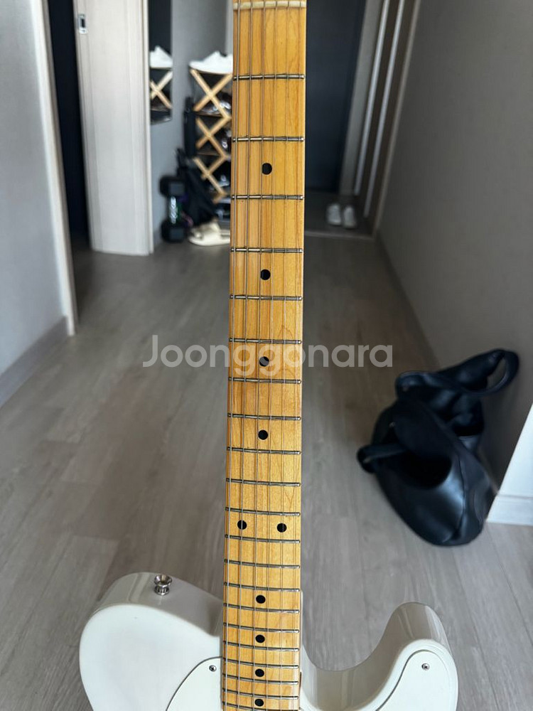 펜더 헤리티지 50S 텔레캐스터--2