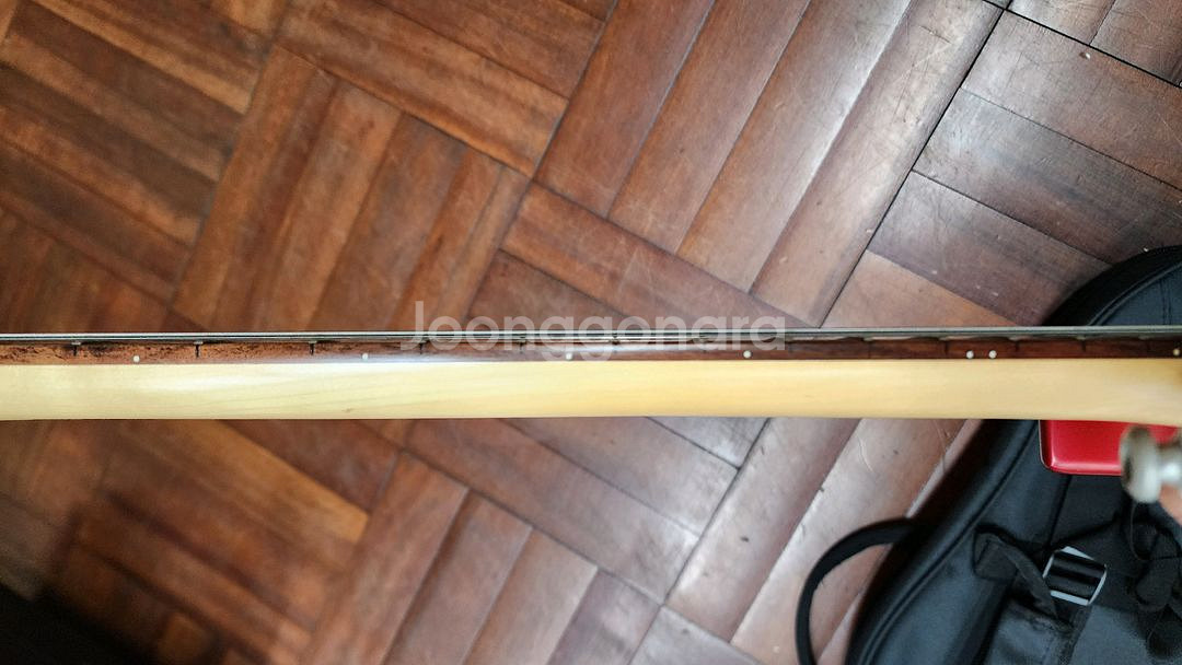일렉기타 콜트 G250 전자기타 일렉 기타--5