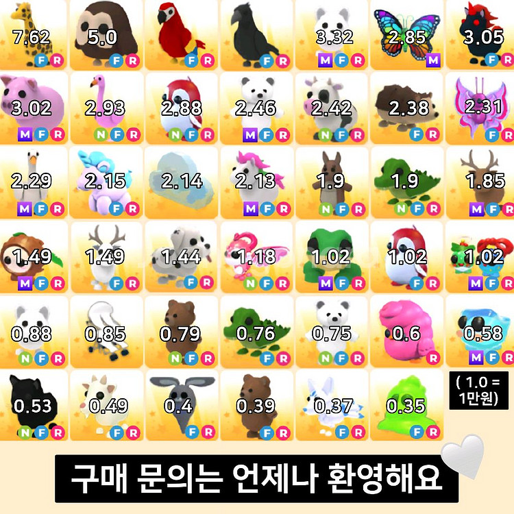 입양하세요 펫 (사진 전체보기 권장)--0