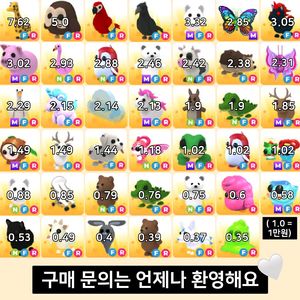 입양하세요 펫 (사진 전체보기 권장)