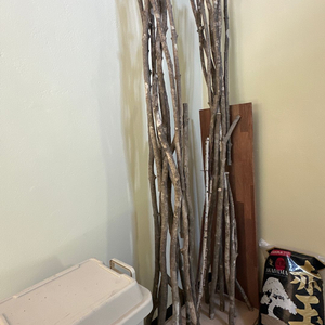 원목 자작나무 웨딩아치