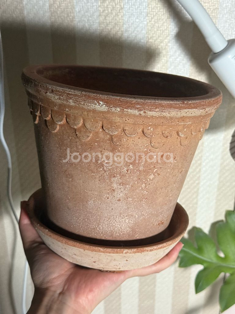 베르그포터 코펜하겐--0