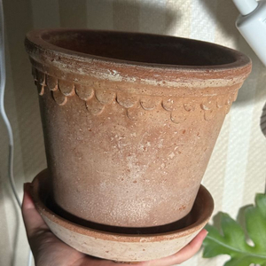 베르그포터 코펜하겐