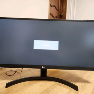 LG 울트라 와이드 29인치 모니터