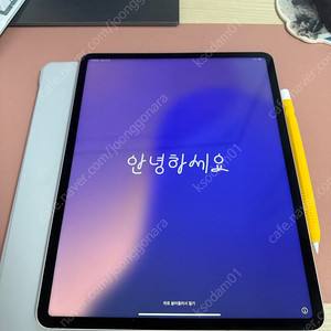 아이패드 프로 6세대 12.9 m2 256기가 실버 셀
