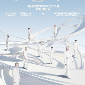 세븐틴 월드투어 대리티켓해드려요