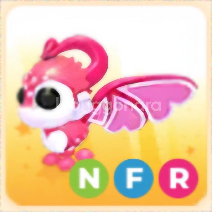 입양하세요 NFR 큐피드 드래곤 (네큐드)--1
