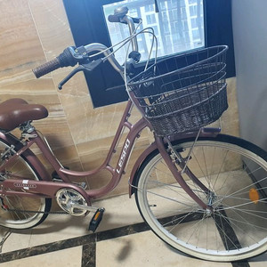 여성용 장바구니 자전거