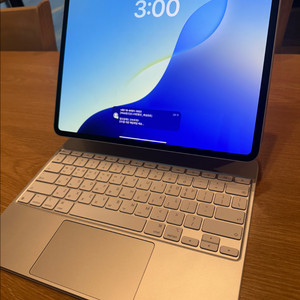 아이패드 프로 13 M4 +매직키보드