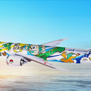 구매! pikachu jets jc wings
