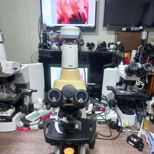 니콘 이클립 E200 3안현미경 대여렌탈
