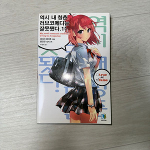 역시 내 청춘 러브코메디는 잘못됐다. 11권